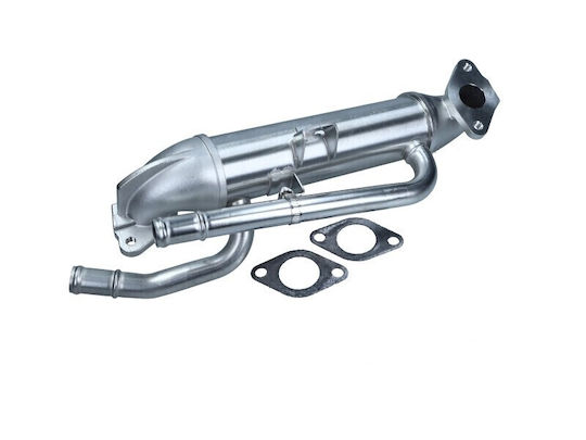 Maxgear Auto-Dichtungen Egr Ventil Volkswagen Passat 2.0 Tdi 03-05 9807593080