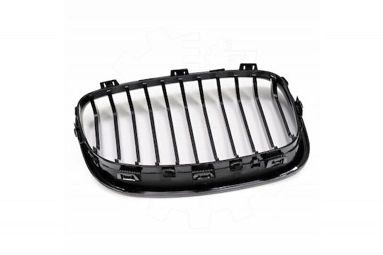 BMW F20 Radiator Mask Set Left or Right Single Grille Glossy Black