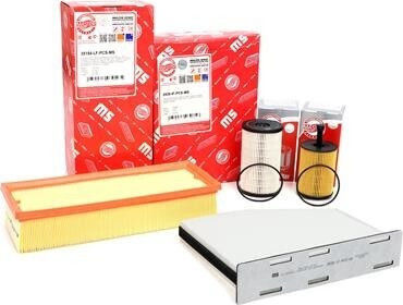Master-Sport Auto Luftfilter Set für Skoda Octavia II JZW819653B