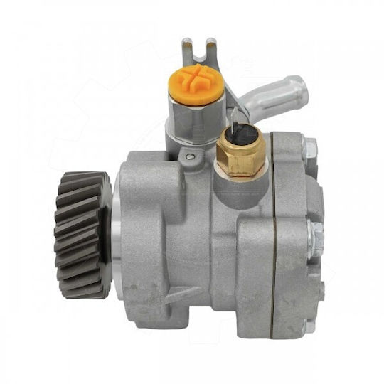 Mitsubishi Pajero IV Assistance Pump