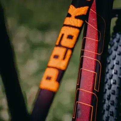 Accent Cadru De Bicicletă Drum