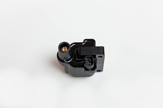 Ignition Coil Nissan Patrol 4.2 Oe 224481c701 2244837j20