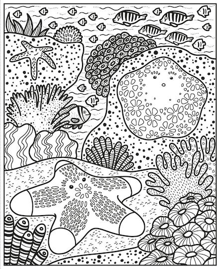 Colouring Book Coral Reef Magic Painting Book