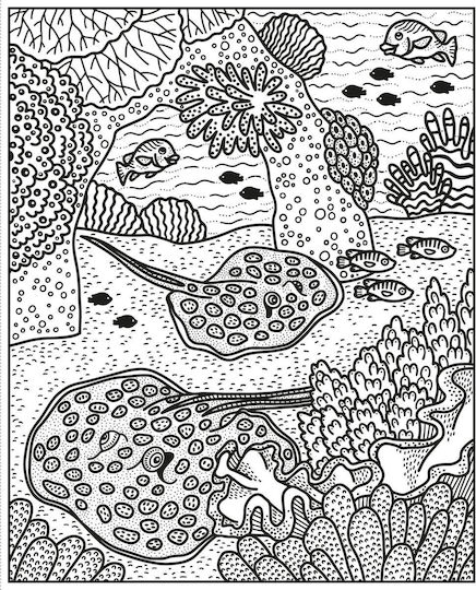 Colouring Book Coral Reef Magic Painting Book