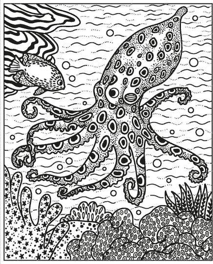 Colouring Book Coral Reef Magic Painting Book