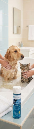 Dermoscent EFA Physio Hundeshampoo 200ml