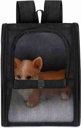 Next Bag for Carrying Dog / Cat Black with Height 42cm