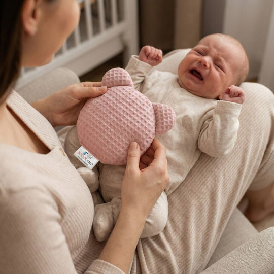 Bocioland Termofor Teddy cu Sâmburi de Cireșe Roz