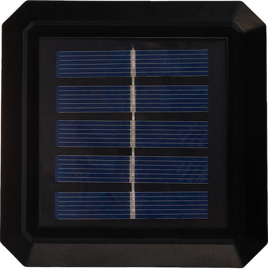 Green Blue Ηλιακό Φωτιστικό 7lm 8x8εκ.