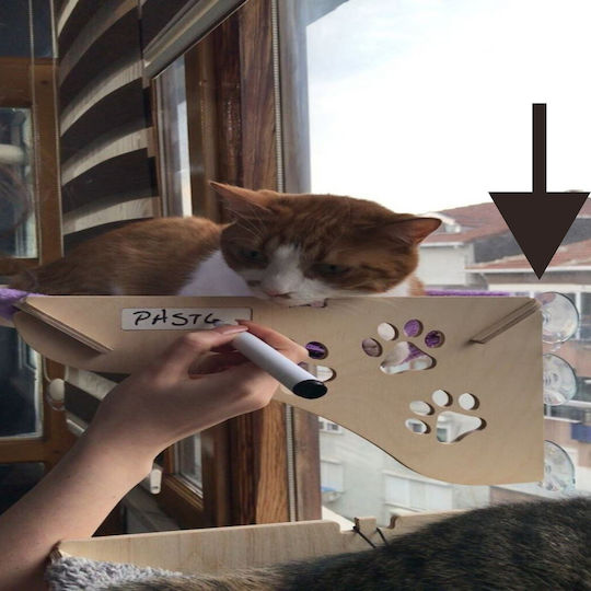 Femmit Set 6 Transparent Suction Cups Vacuum Hook & Nut Strong Suction Without Holes Bathroom Kitchen Glass Tiles Waterproof Durable 20 To +60°C Suction Cups Cat Bed & Home Organization