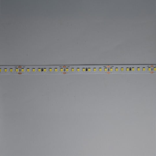 Eurolamp LED Лента 24V 5м