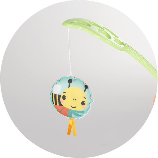 Chipolino Baby Jumper Jumpy Joy with Music and Lights for 6+ Months
