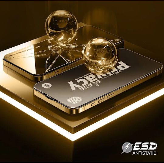 Screen Protector Privacy 0.3mm