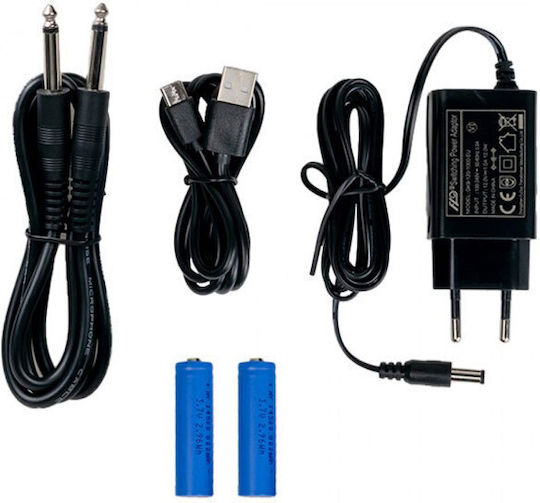 ZZiPP TXZZ412 Wireless Dynamic Handheld Microphone Set & Dual Receiver