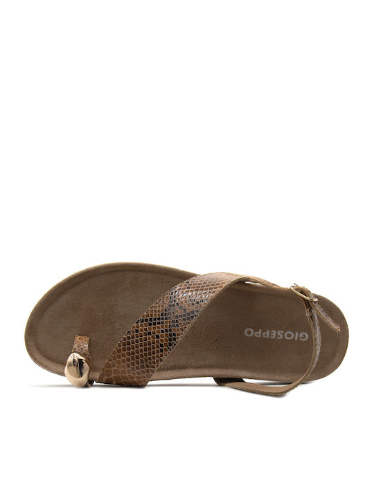 Leather Women's Anatomic Brown Sandals
