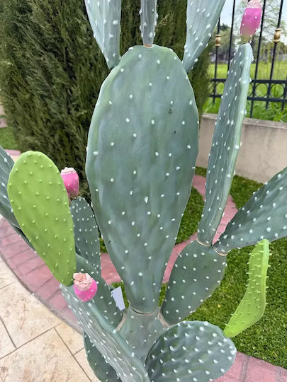 Artificial Cactus 140cm Modern Eva Pot