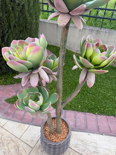 Cactus Artificial 109cm Ghiveci Modern Eva