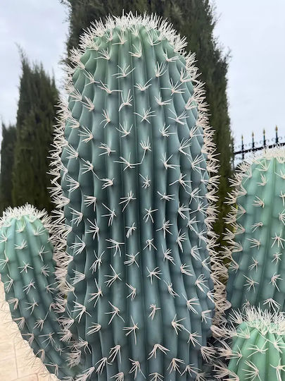 Artificial Cactus 195cm Modern Eva Pot