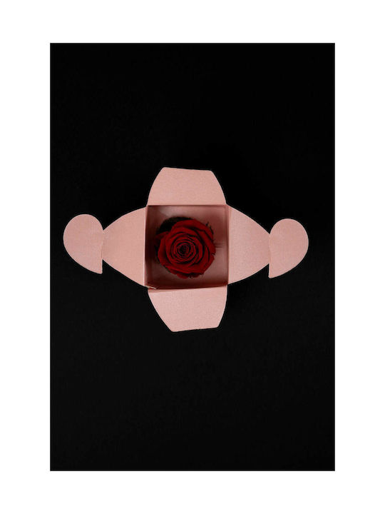 Trandafir Roșu Mic Uscat Roz Cutie De Hârtie 6/4cm