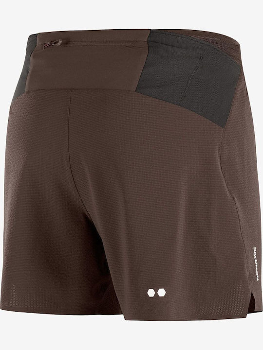 Sense Aero Sports Men's Brown Shorts
