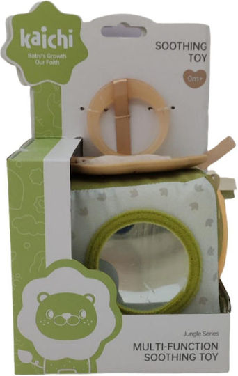 Kaichi Activity Cube