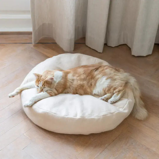 Pat Pentru Pisici Hoopo Donut Crem