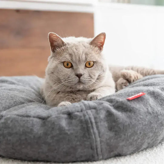 Cat Bed Hoopo Donut Gray