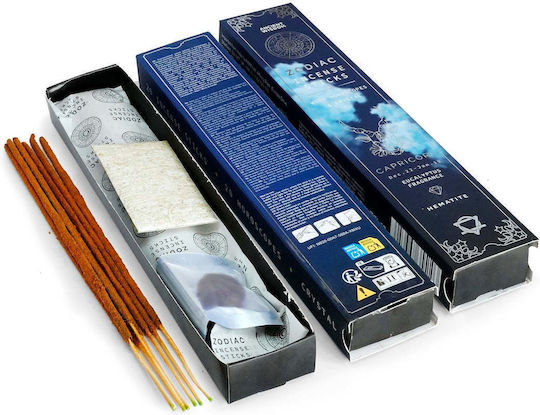Handmade Home Fragrance Sticks Zodiac Motif Capricorn 22/12 – 19/01 Eucalyptus Scent & Hematite Semi-Precious Stone 15 Sticks