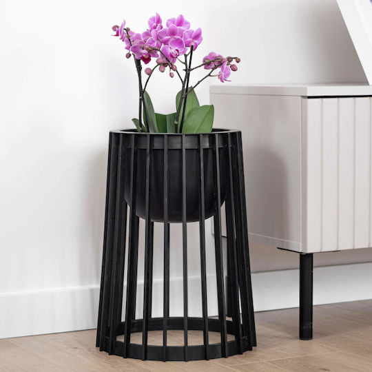 Standing Flower Pot Stand Loft Double-sided Black 53.5 Cm + Insert