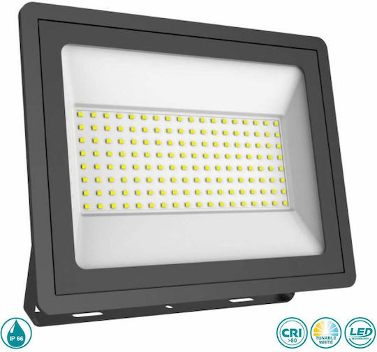 Spot Light Waterproof LED Flood Light 100W Warm to Cool White IP66