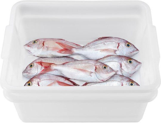 Araven Commercial Container Lid 35lt 54x38.5x29.2cm 3 Pieces