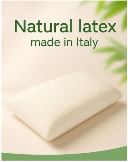 Strom Eco Latex Ανατομικό 40x60x12cm
