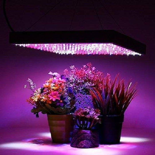 Desk Grow Light with LED
