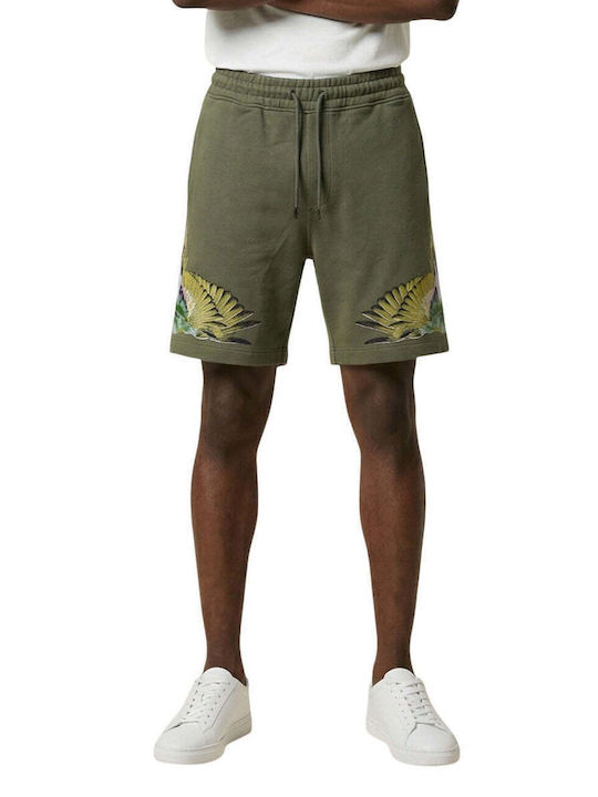 Herren Shorts Grüne