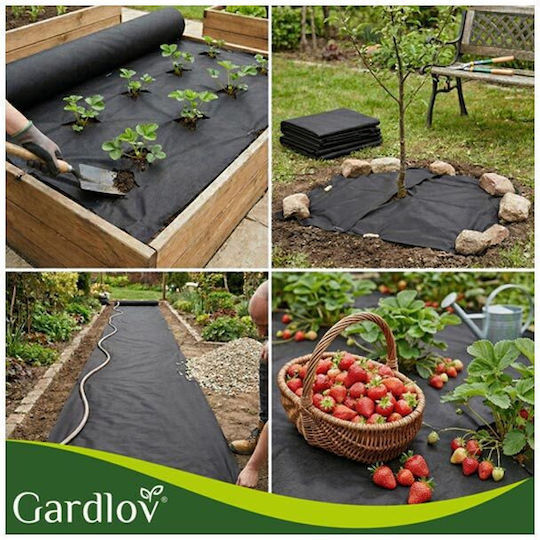 Agro Textile Weed Control Fabric 1.6x20m 50g/m Black UV Protection Gardlov