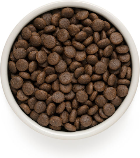 Grandorf 1kg Dry Dog Food for Adult Medium & Large Breeds with Rabbit, Hare, Turkey, Meat and Chicken