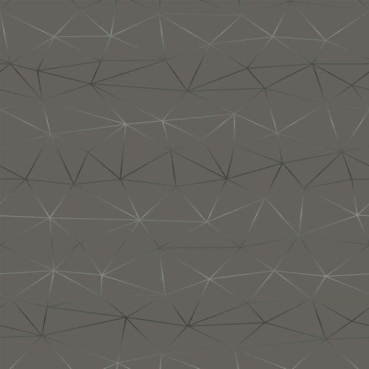 Decorative Film 67.5x200 Cm D-c-fix Tiko Silver