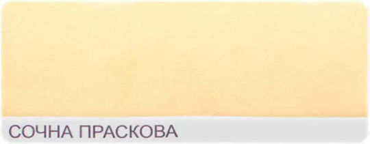 Colored Latex Paint Color Juicy Peach 2.5 L Dekorator