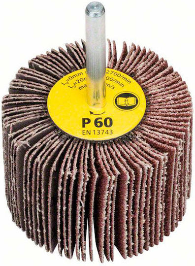 Disc De Șlefuire Lamelar Burghiu 60x40mm Bosch
