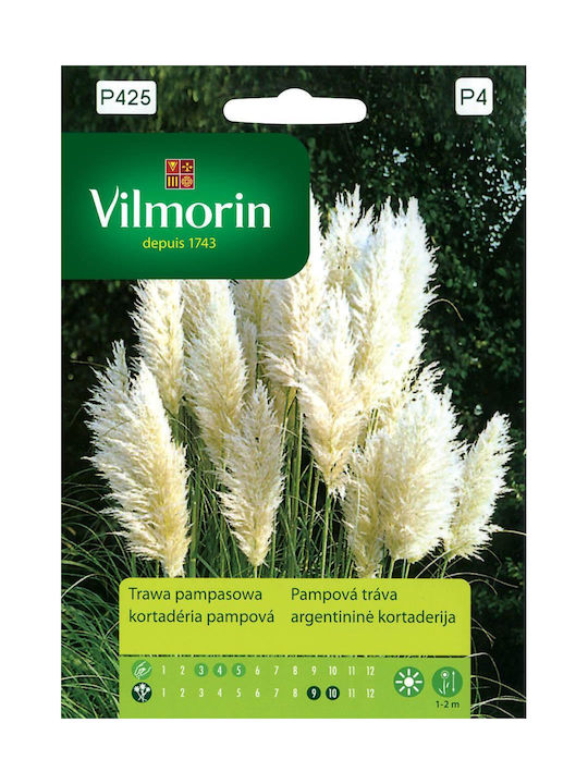 Pampas Grass Seeds Vilmorin