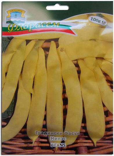 Bean Seeds Super Nano Capitano