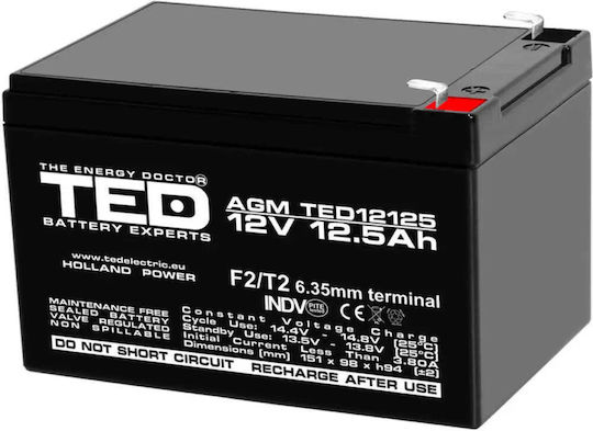 Battery 12v 12ah Agm Ted Electric