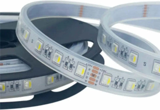 Lightex Αδιάβροχη Ταινία LED 24V RGBW Φως Τύπου SMD5050