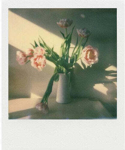 Фото Аксесоар Polaroid Цветен Филм I-type 40 Пакета 006010