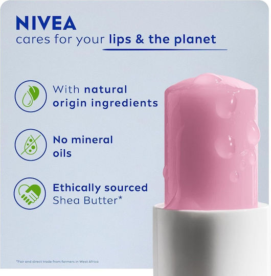 Nivea Caring Lip Balm Τριαντάφυλλο 4.8gr