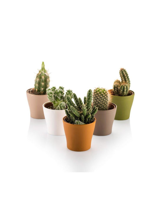 Cactus Pot 10.5cm Gardenia Pastel Cactus Pot 10.5cm Gardenia Pastel