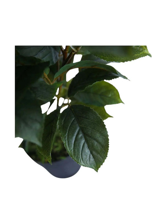 Artificial Plant Ficus 65cm Hd Hd-10982