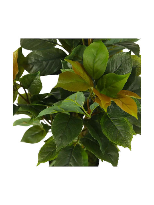 Künstliche Topfpflanze Ficus 65cm Hd Hd-10982