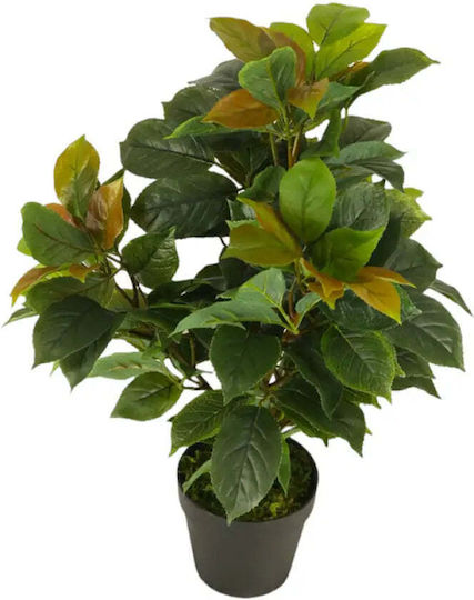 Artificial Plant Ficus 65cm Hd Hd-10982