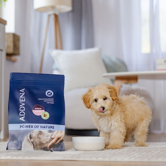 Nature 2.5kg Dry Dog Food for Small Breed Puppies